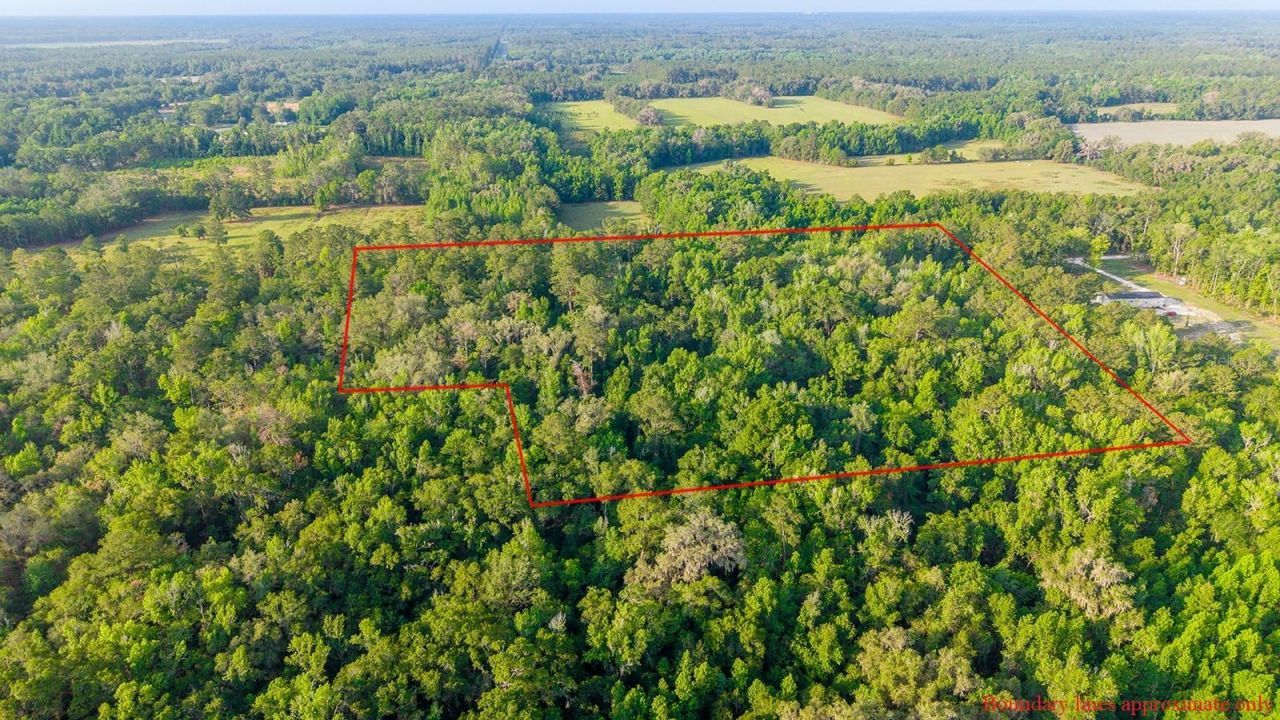 1708 NW 230th Place, Brooker, FL 32622 Photo