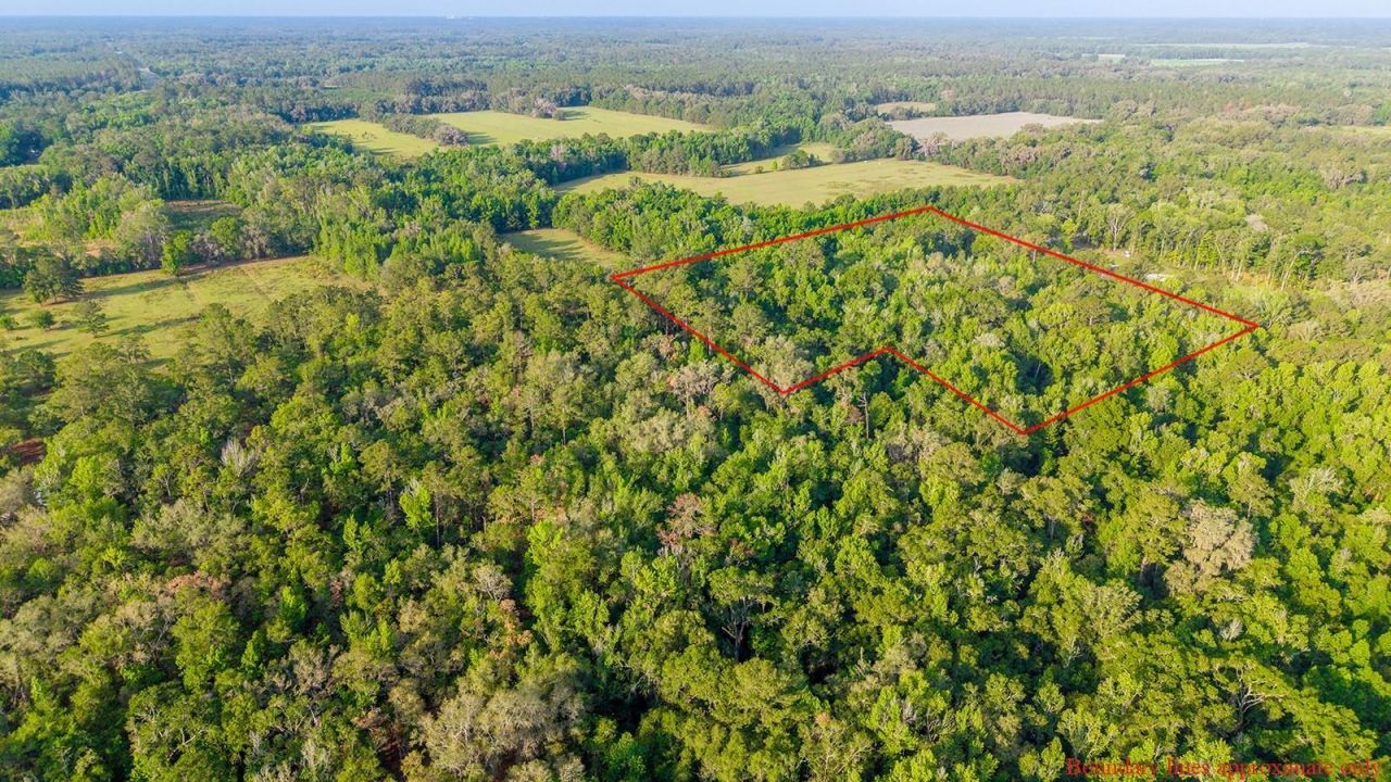 1708 NW 230th Place, Brooker, FL 32622 Photo