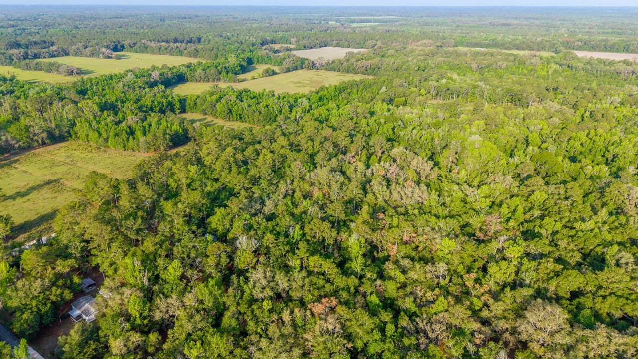 1708 NW 230th Place, Brooker, FL 32622 Photo