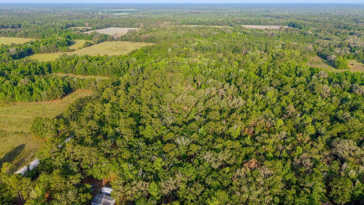 1708 NW 230th Place, Brooker, FL 32622 Photo