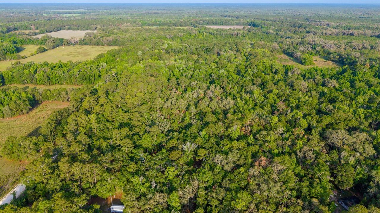 1708 NW 230th Place, Brooker, FL 32622 Photo
