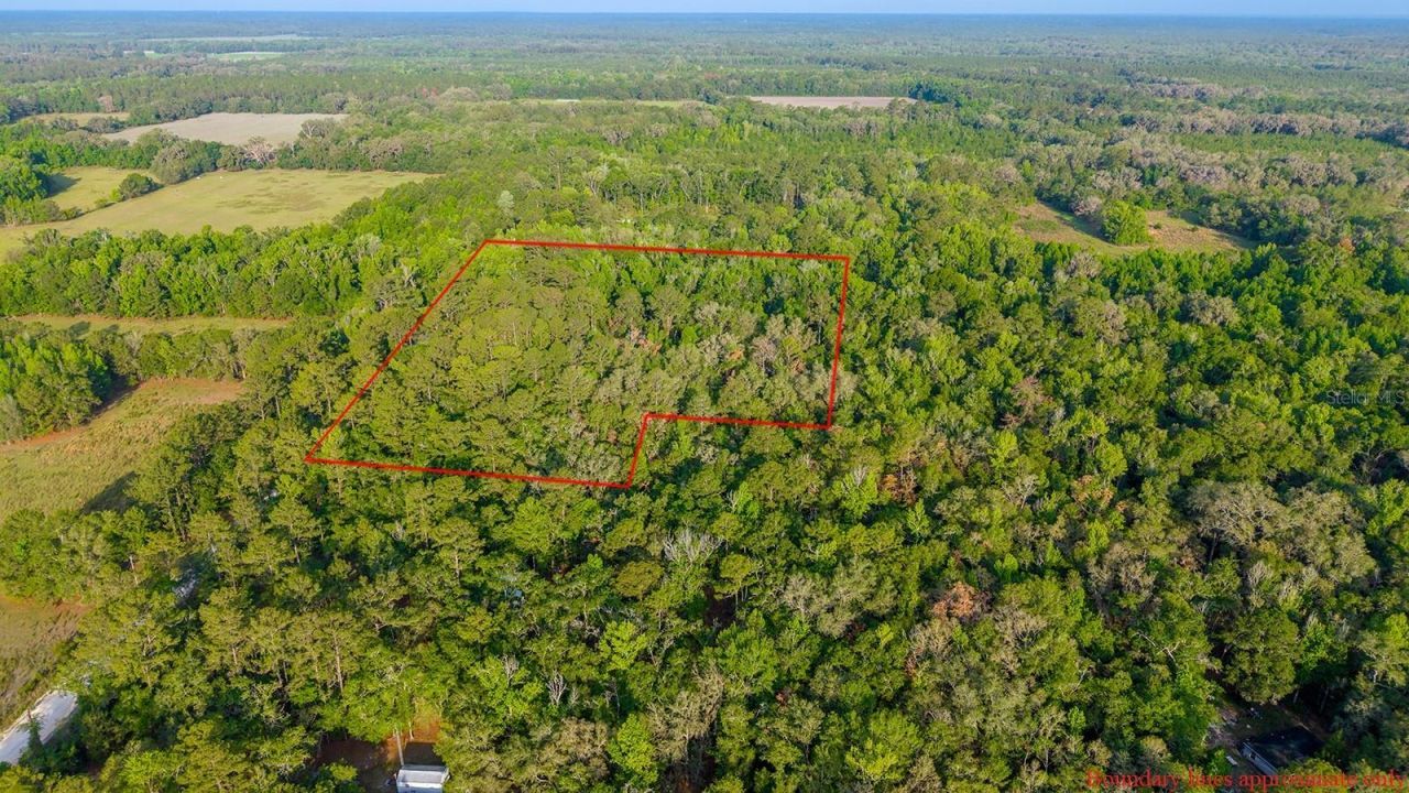1708 NW 230th Place, Brooker, FL 32622 Photo