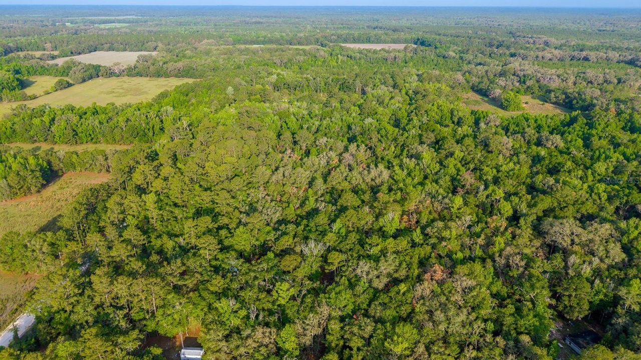 1708 NW 230th Place, Brooker, FL 32622 Photo
