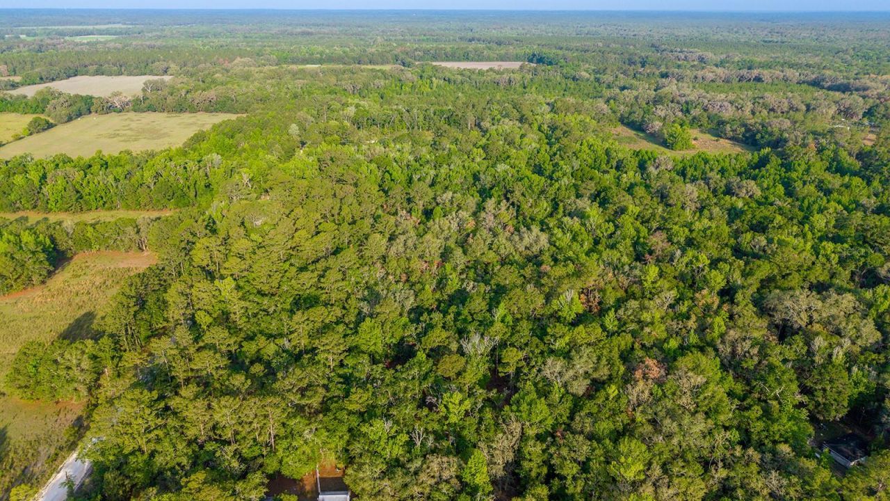 1708 NW 230th Place, Brooker, FL 32622 Photo