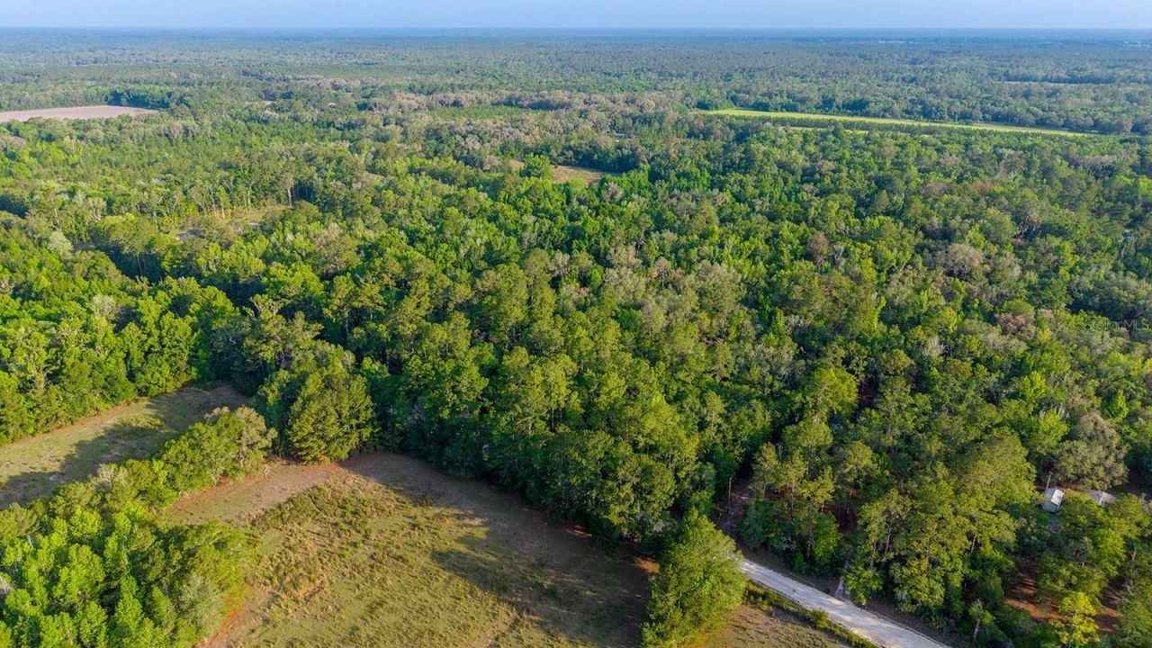 1708 NW 230th Place, Brooker, FL 32622 Photo
