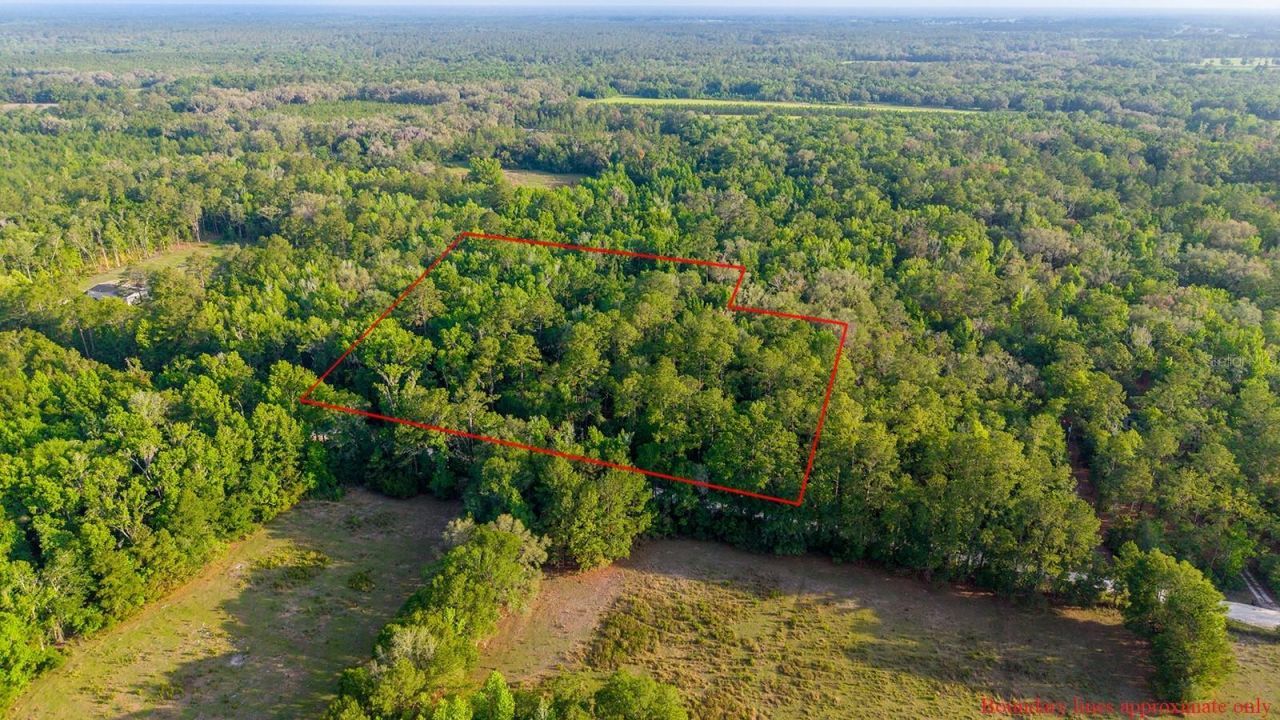 1708 NW 230th Place, Brooker, FL 32622 Photo