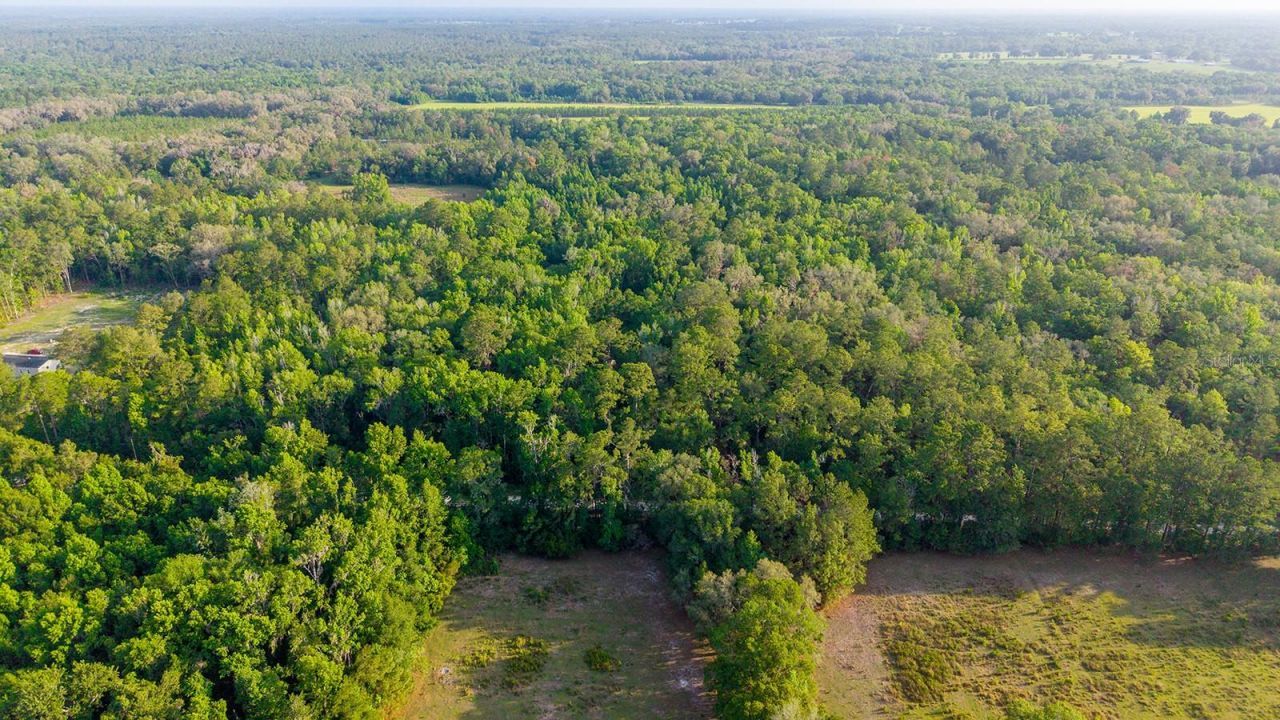 1708 NW 230th Place, Brooker, FL 32622 Photo