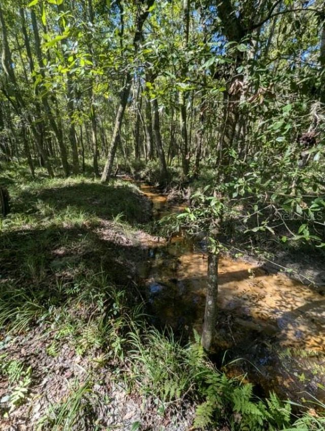 1708 NW 230th Place, Brooker, FL 32622 Photo