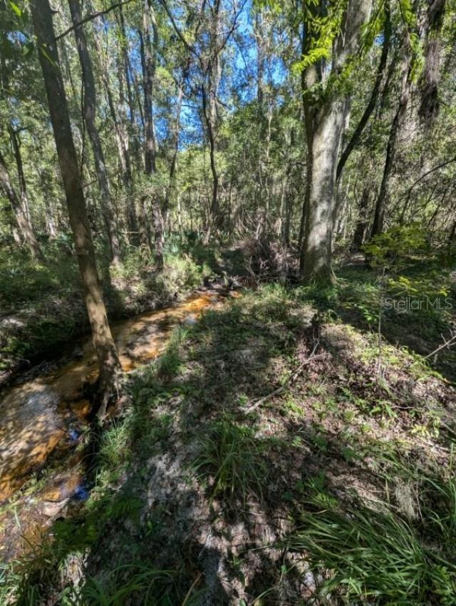 1708 NW 230th Place, Brooker, FL 32622 Photo