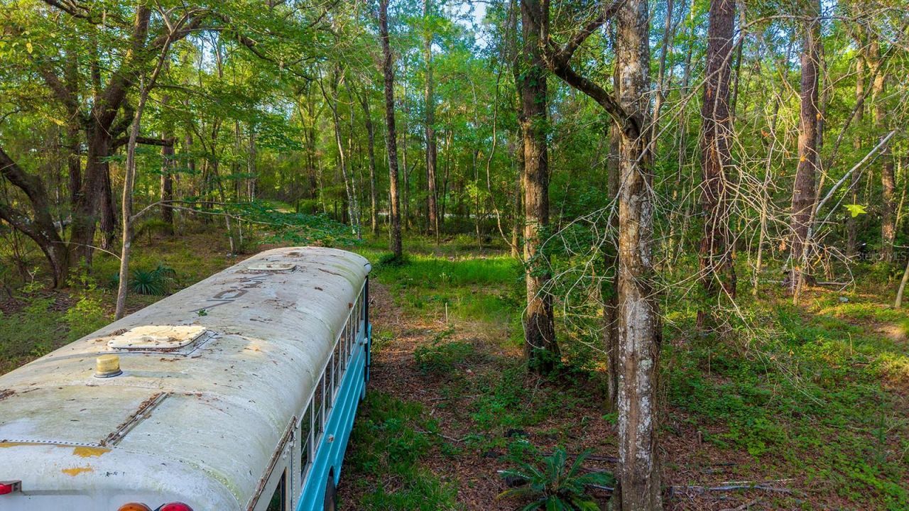 1708 NW 230th Place, Brooker, FL 32622 Photo