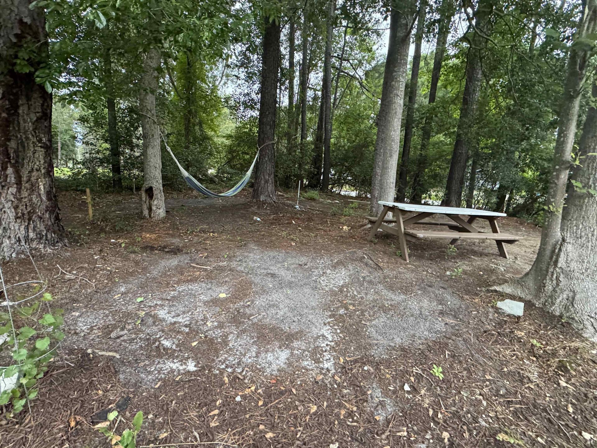 1194 Rainbow Dr.  Photo 12