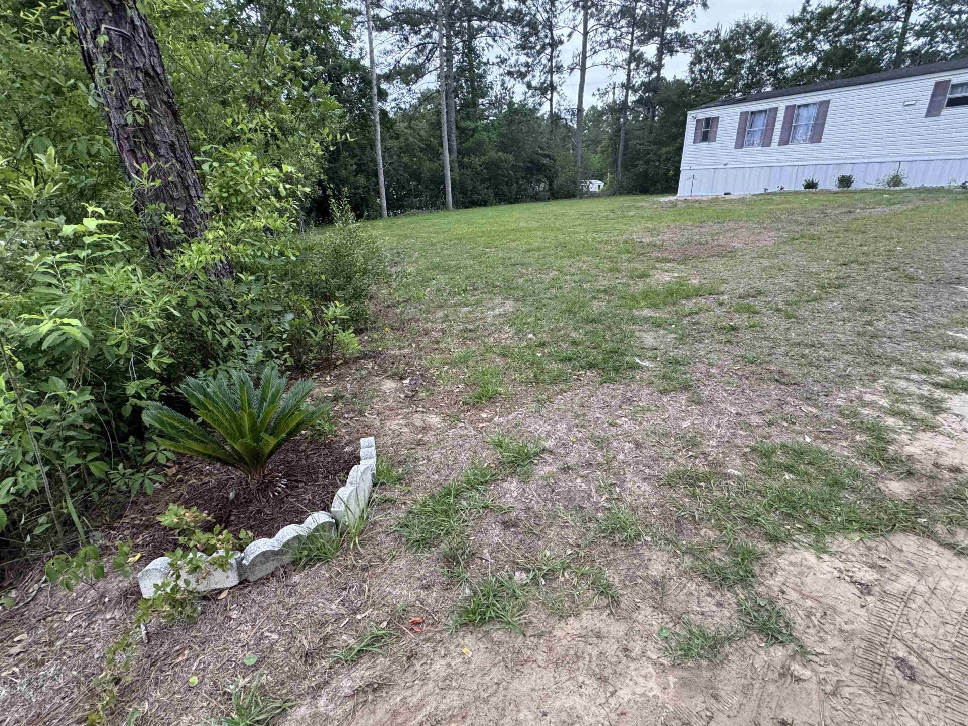 1194 Rainbow Dr.  Photo 9