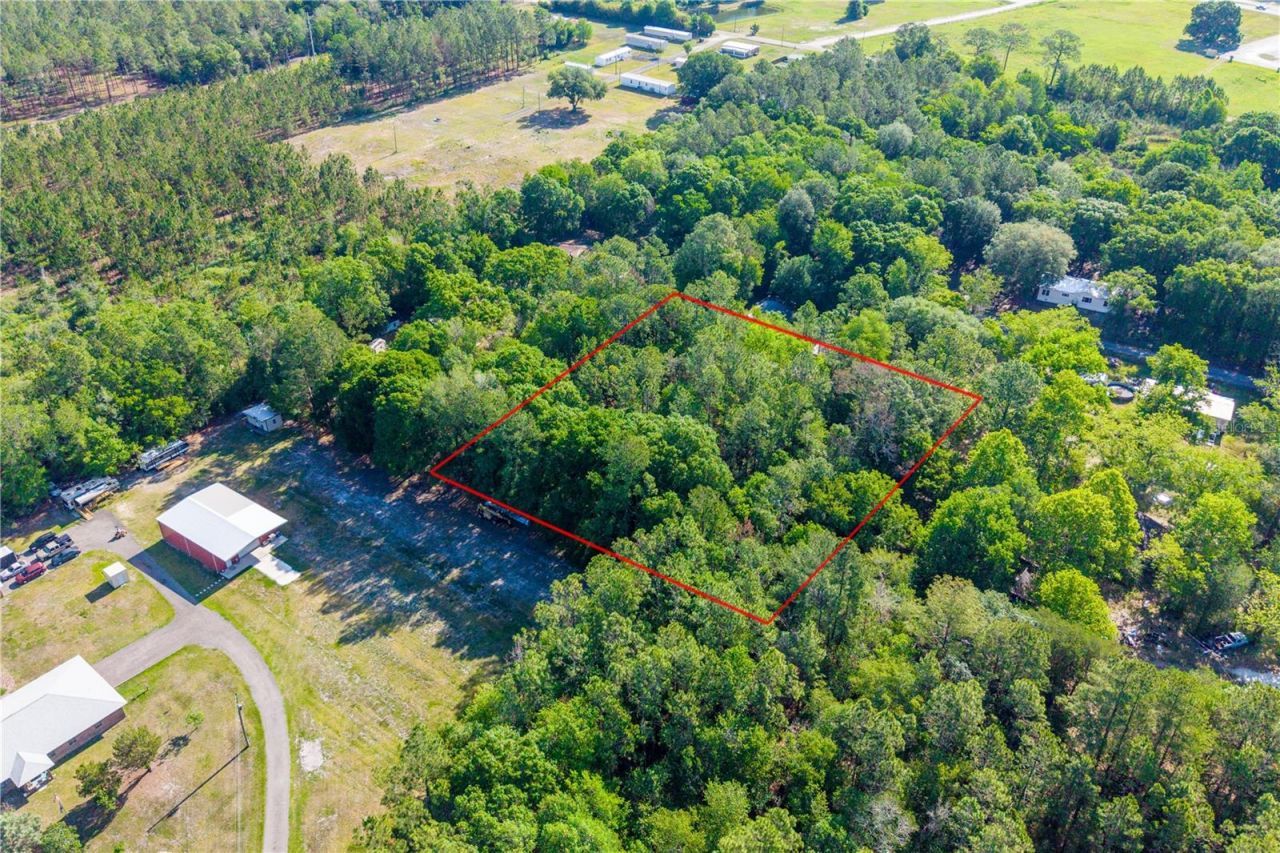 Nw 37th Lane , Starke, FL 32091 Photo