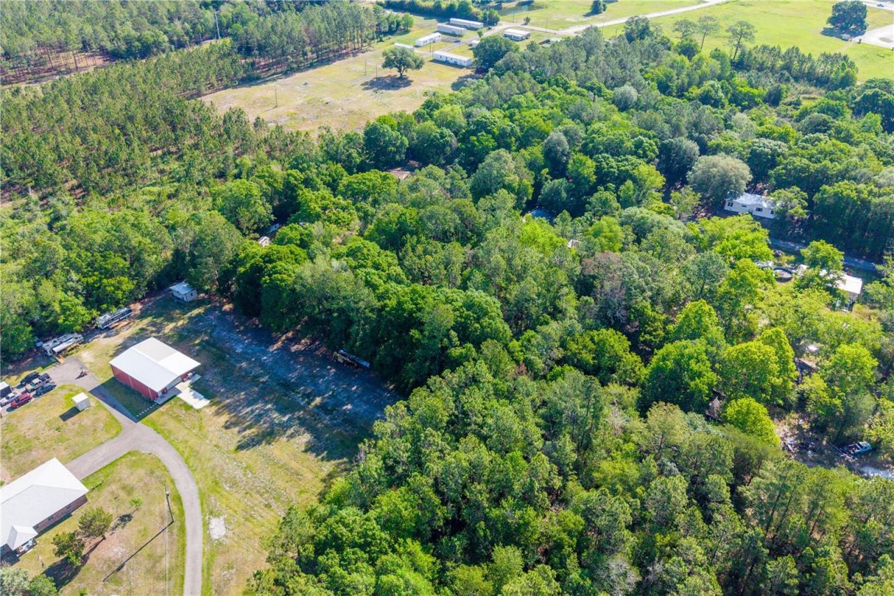 Nw 37th Lane , Starke, FL 32091 Photo