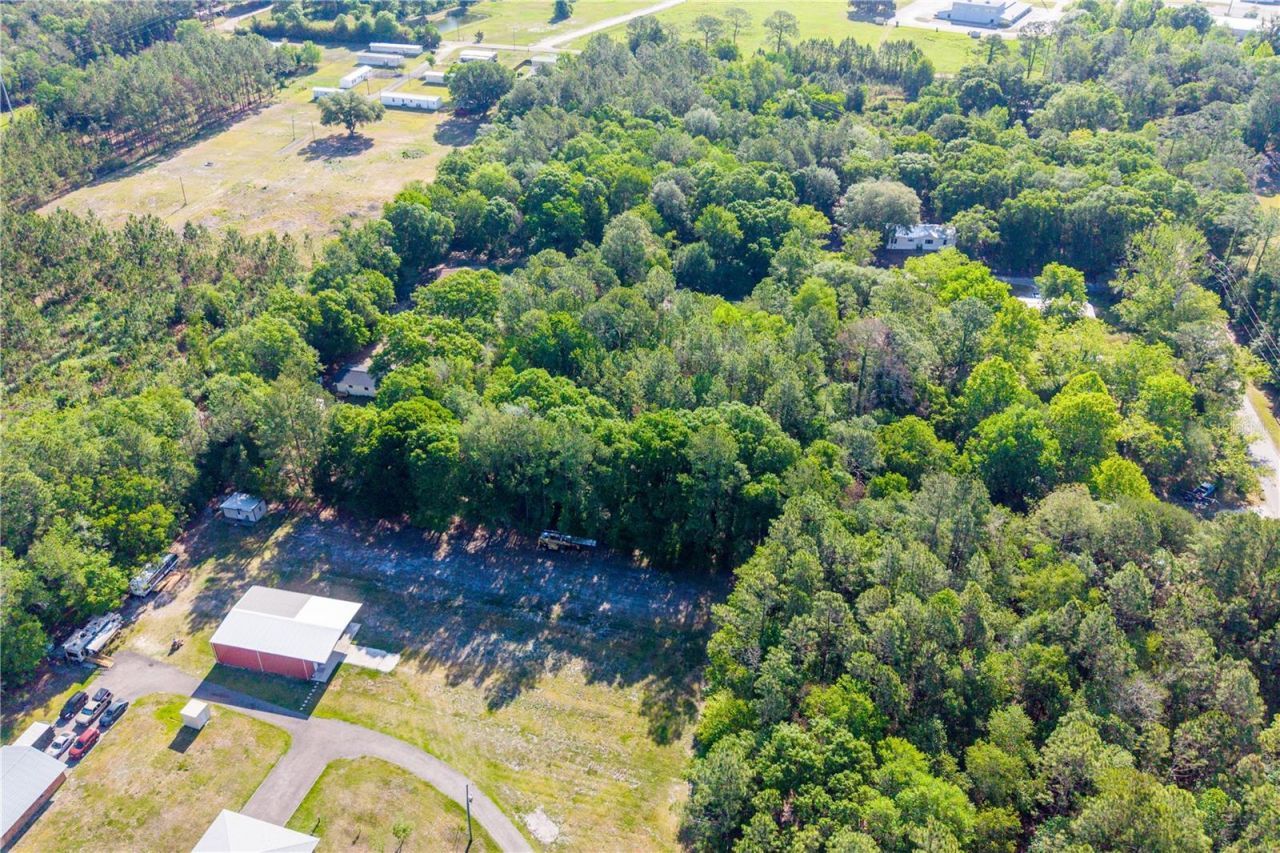 Nw 37th Lane , Starke, FL 32091 Photo