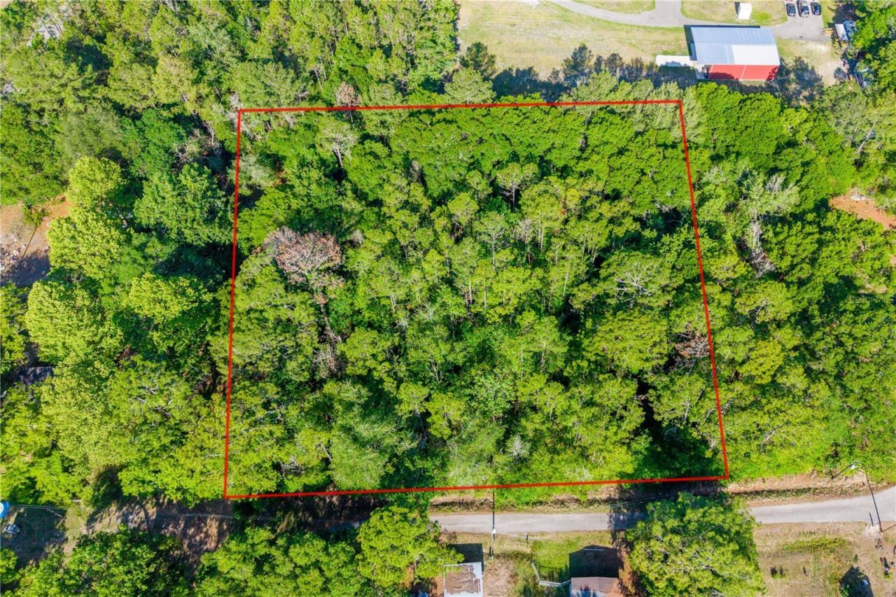 Nw 37th Lane , Starke, FL 32091 Photo
