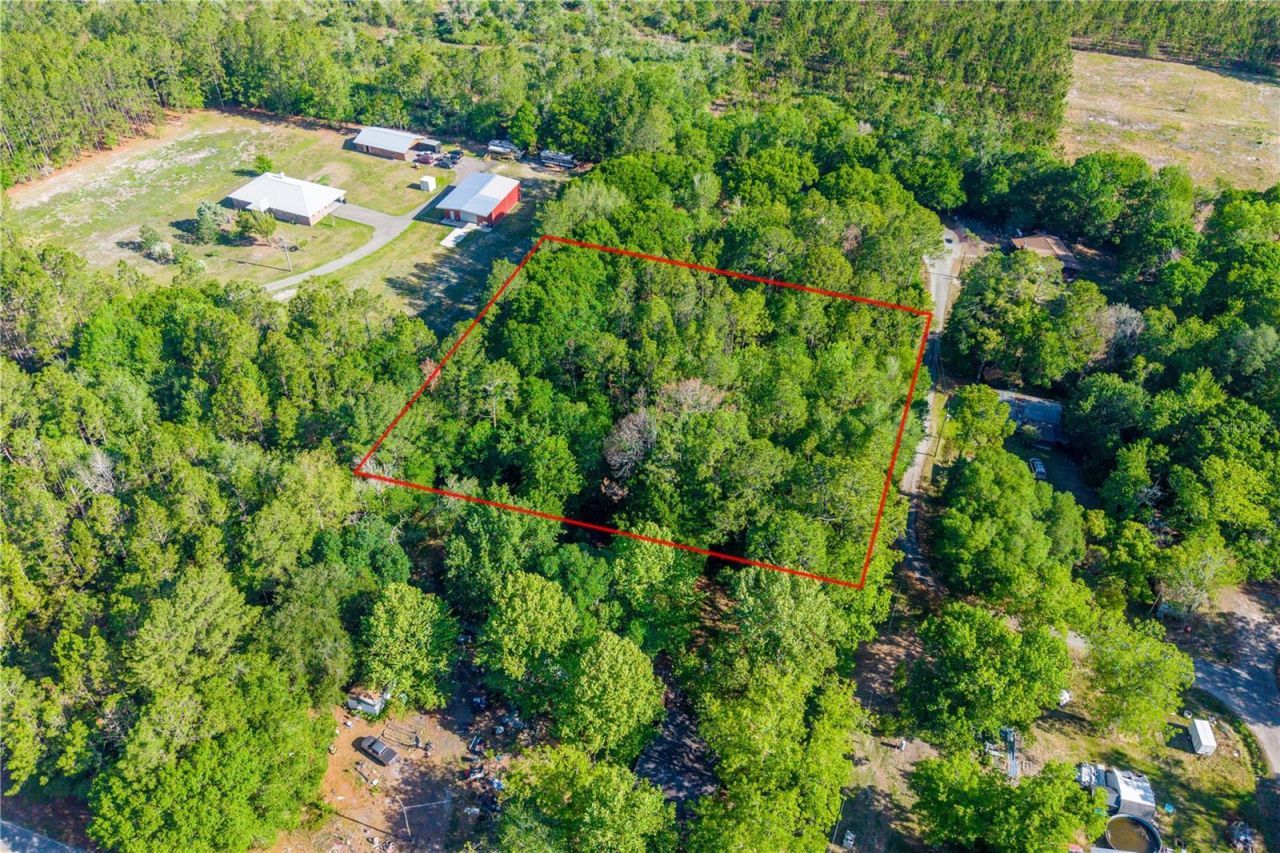 Nw 37th Lane , Starke, FL 32091 Photo