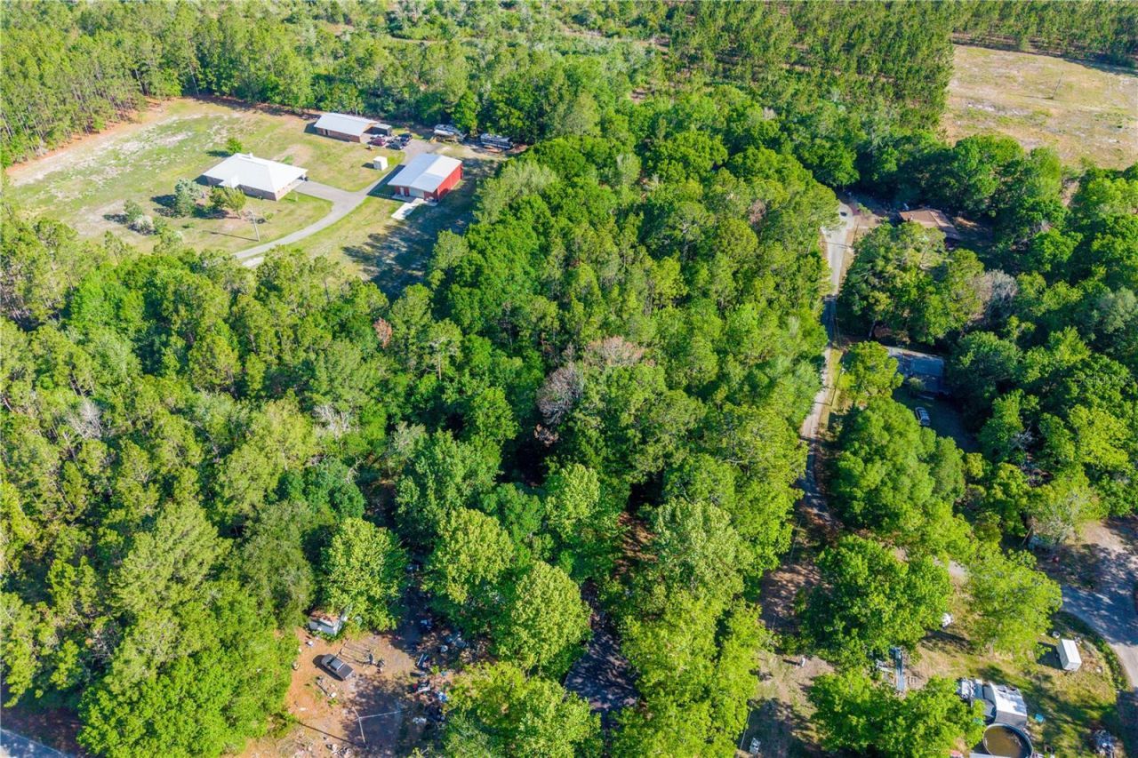 Nw 37th Lane , Starke, FL 32091 Photo