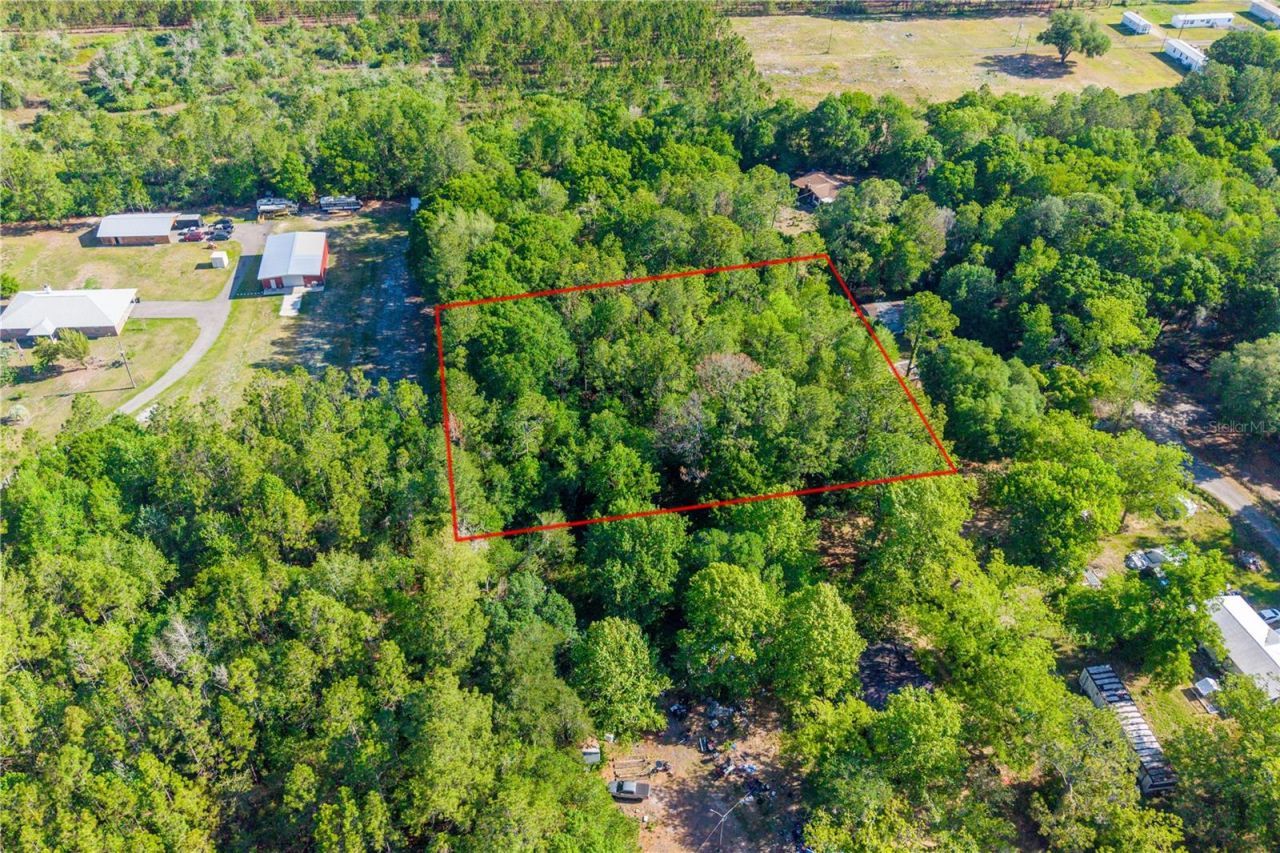 Nw 37th Lane , Starke, FL 32091 Photo