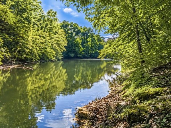 0 Elklore Avenue, Unit 7, Estill Springs, TN 37330