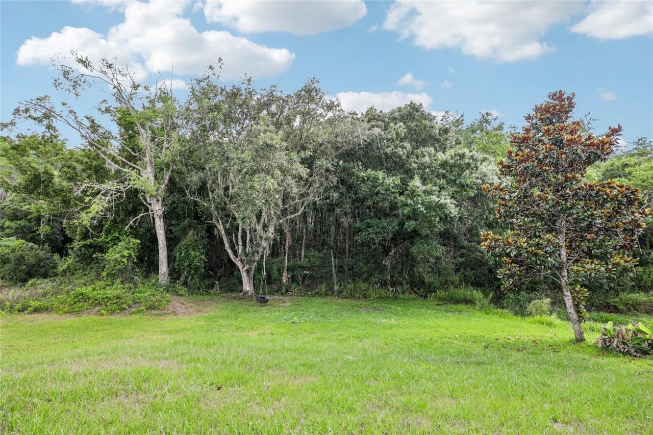 1982 Locust Berry Drive , Kissimmee, FL 34743 Photo