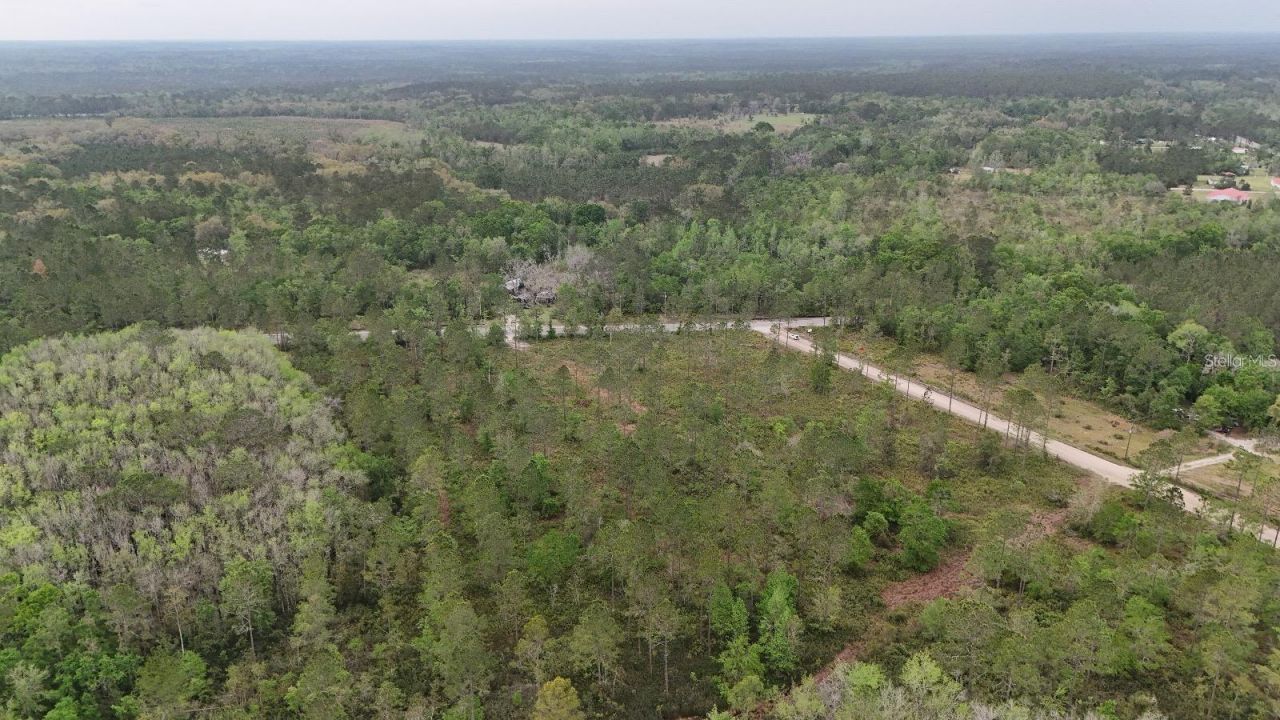 Se County Road 25a, White Springs, FL 32096 Photo