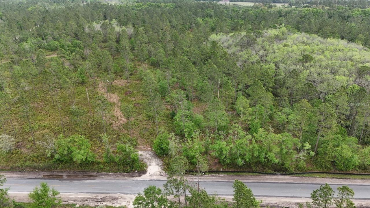 Se County Road 25a, White Springs, FL 32096 Photo