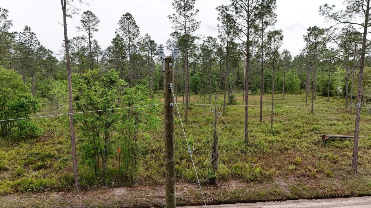 Se County Road 25a, White Springs, FL 32096 Photo