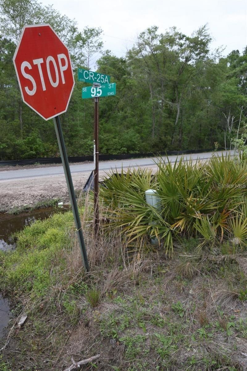 Se County Road 25a, White Springs, FL 32096 Photo