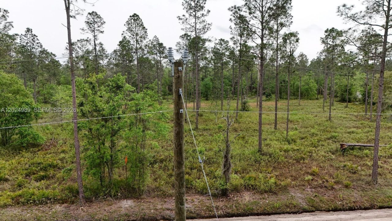 0 SE County Road 25a , White Springs, FL 32096 Photo
