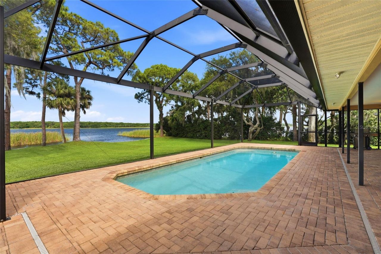 3493 Shoreline Circle, Palm Harbor, FL 34684 Photo