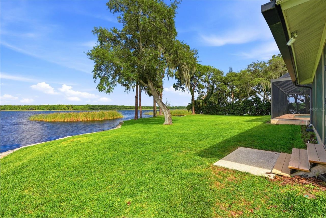 3493 Shoreline Circle, Palm Harbor, FL 34684 Photo