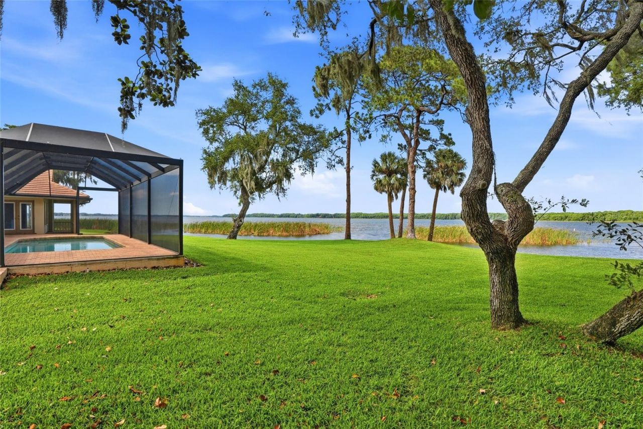 3493 Shoreline Circle, Palm Harbor, FL 34684 Photo