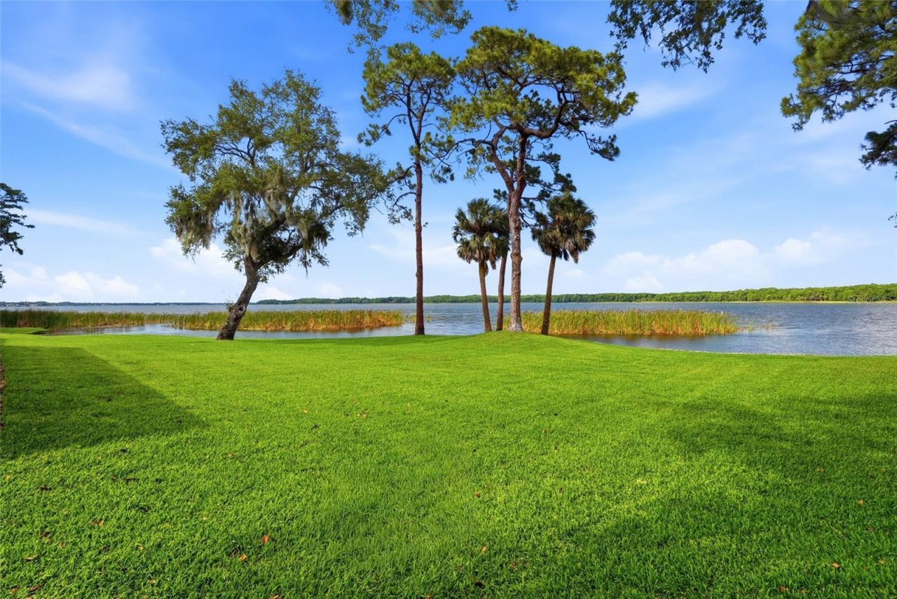 3493 Shoreline Circle, Palm Harbor, FL 34684 Photo