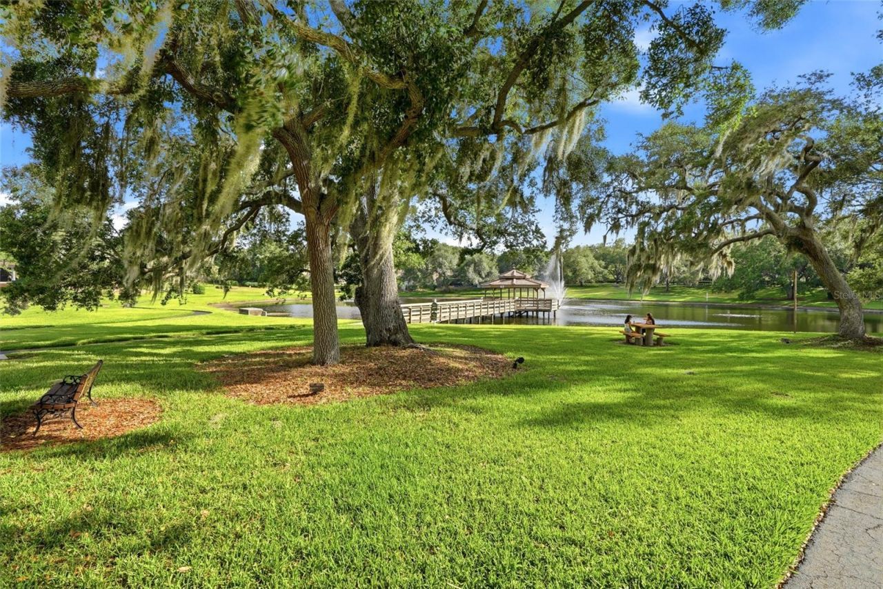3493 Shoreline Circle, Palm Harbor, FL 34684 Photo
