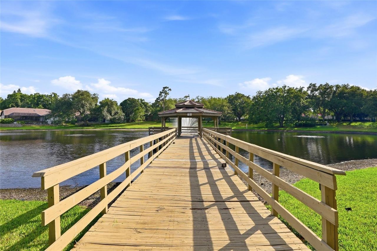 3493 Shoreline Circle, Palm Harbor, FL 34684 Photo