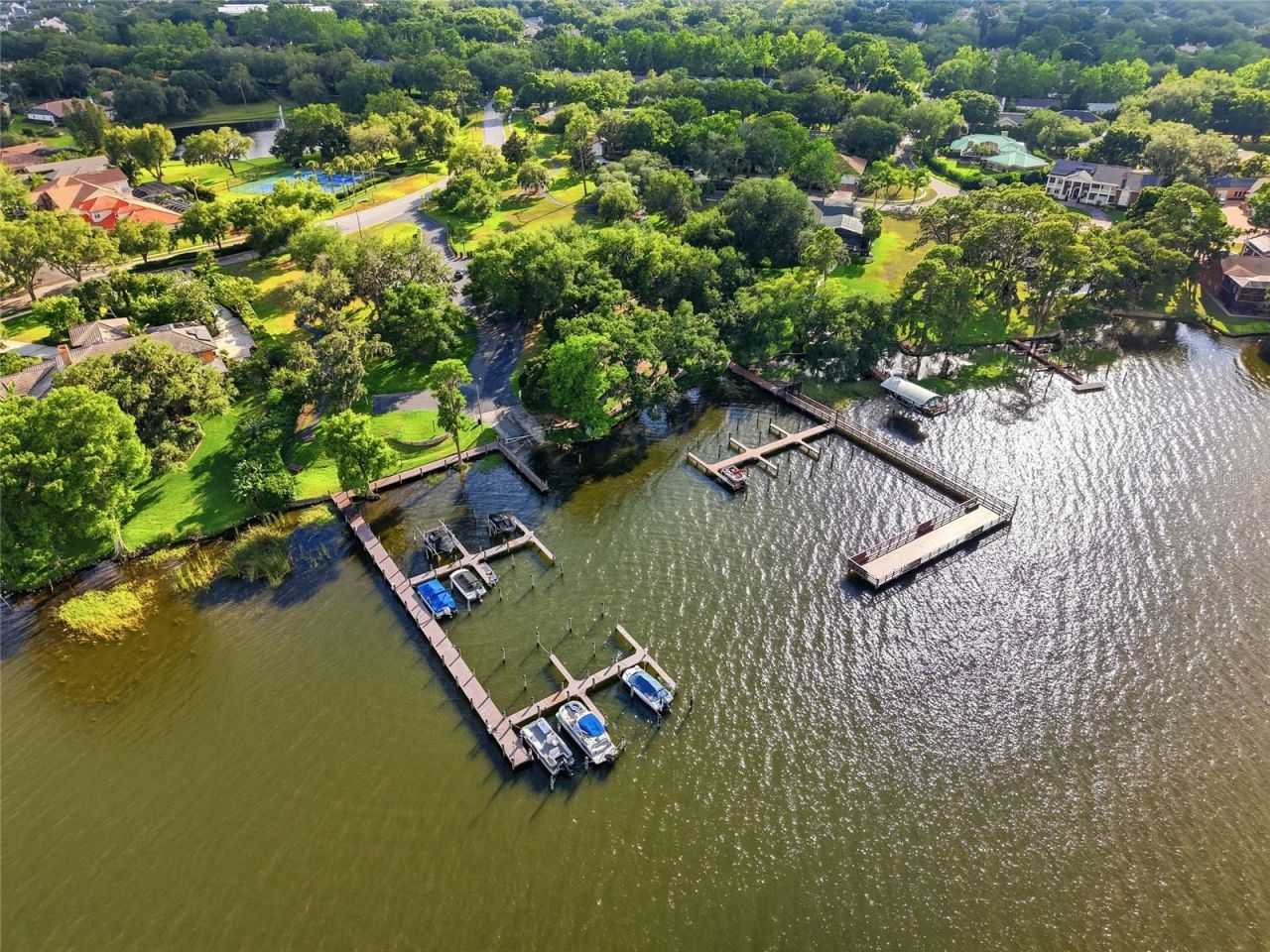 3493 Shoreline Circle, Palm Harbor, FL 34684 Photo