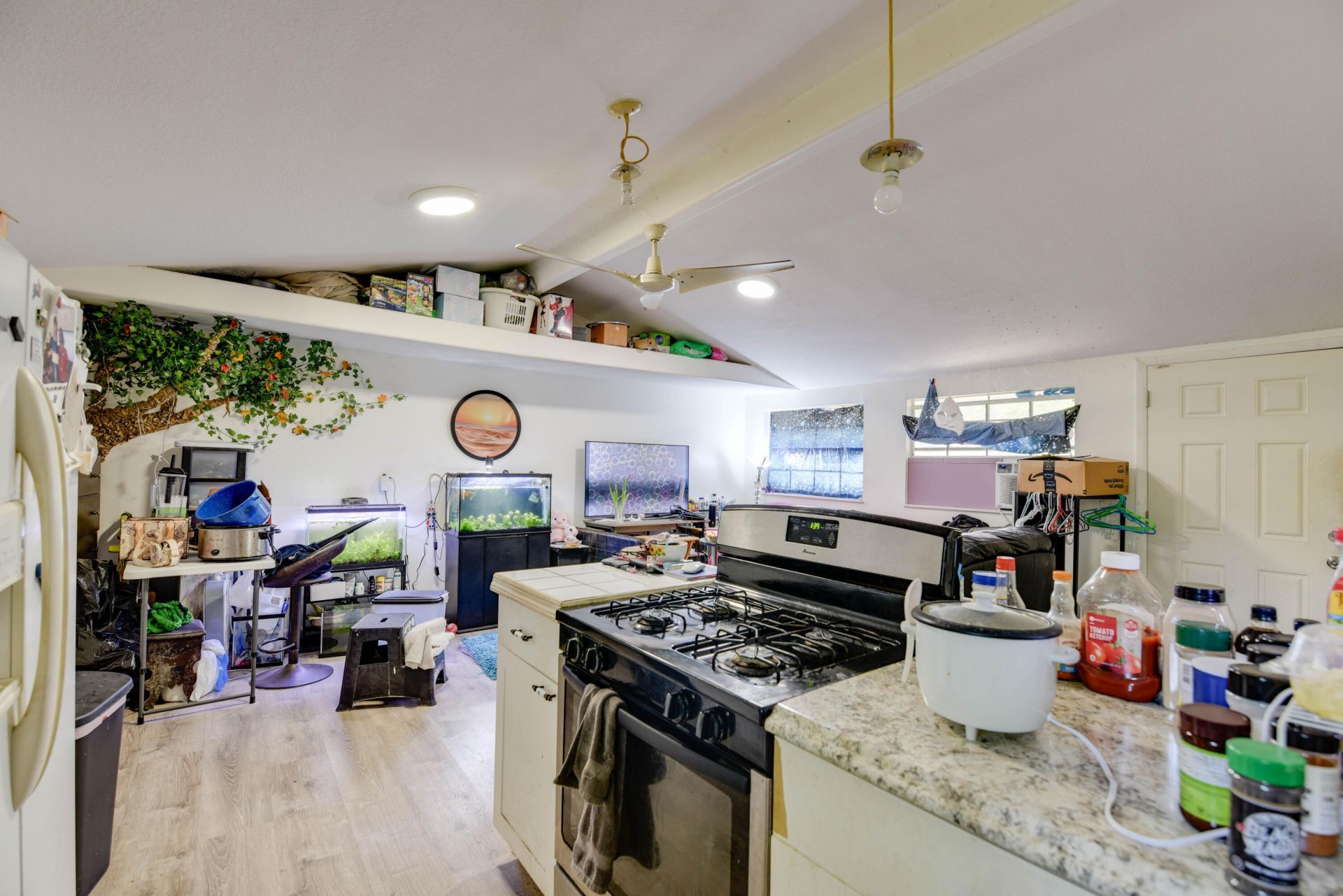 290 46th Street, Summerland Key, FL 33042 Photo