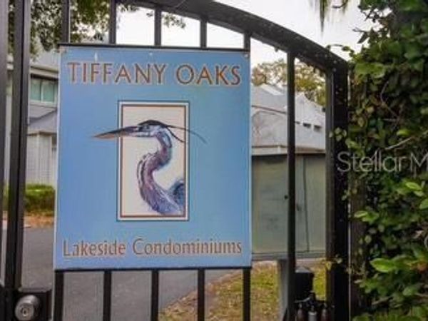 9726 TIFFANY OAKS LANE , Unit 9726, TAMPA, FL 33612