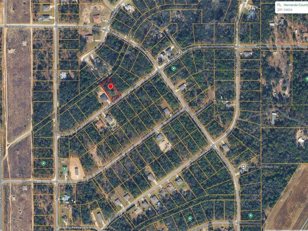 14041 RICEBIRD AVENUE , WEEKI WACHEE, FL 34614