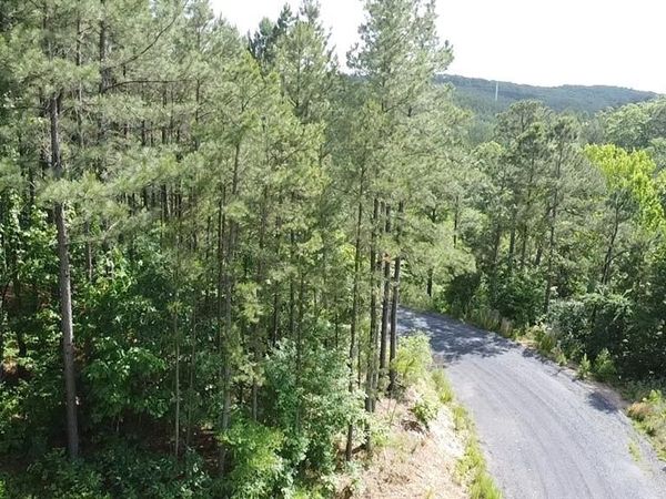 635 Virginia Pine Place, Broken Bow, OK 74728