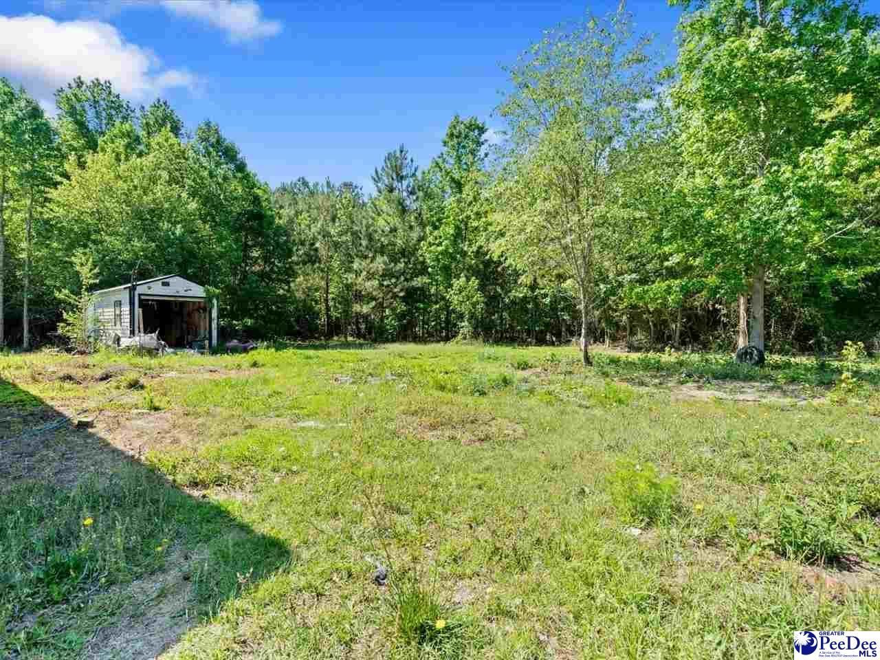 292 Longhorn Lane Photo 35