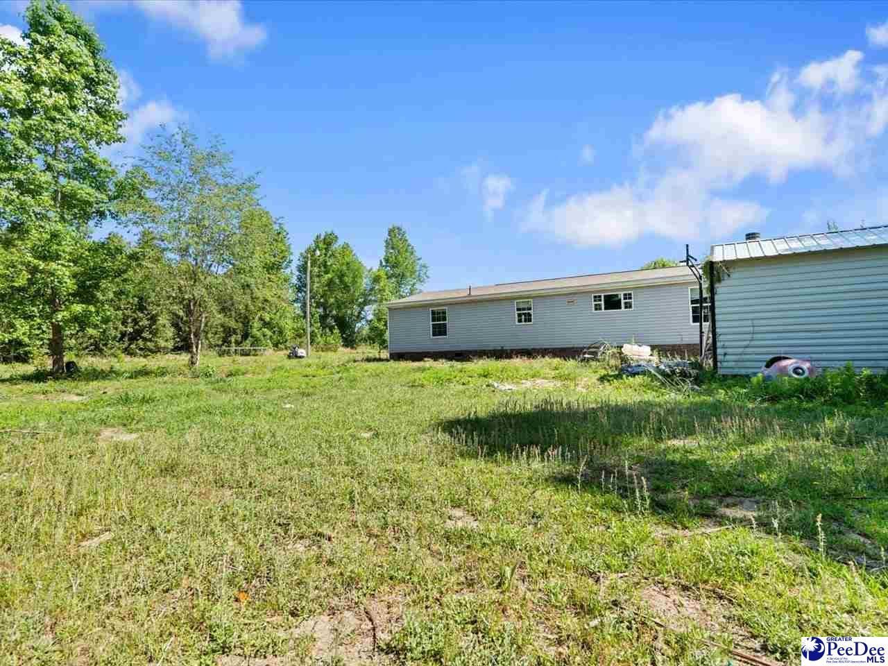 292 Longhorn Lane Photo 38