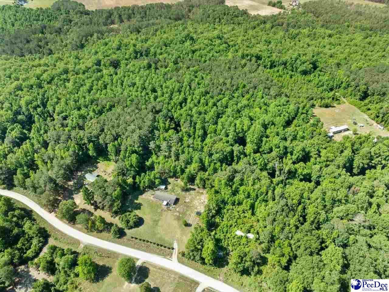 292 Longhorn Lane Photo 41
