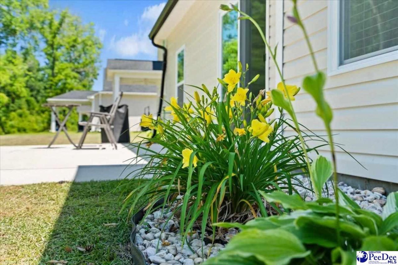 3833 Panther Path Photo 33