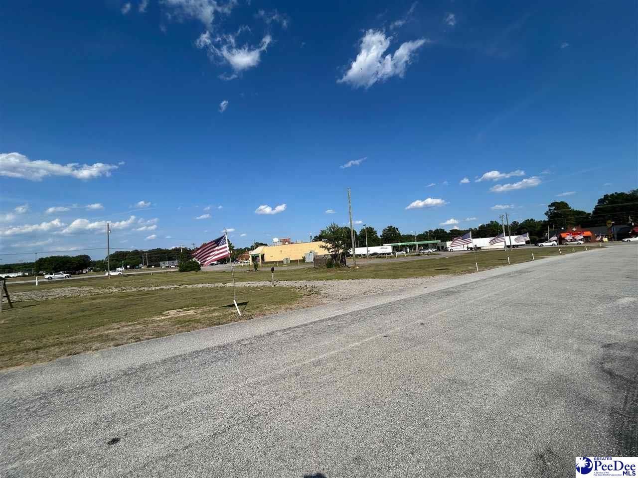 320 Hwy Sc-9 West Photo 11