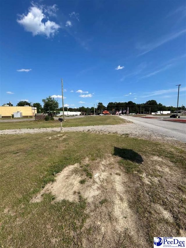 320 Hwy Sc-9 West Photo 13