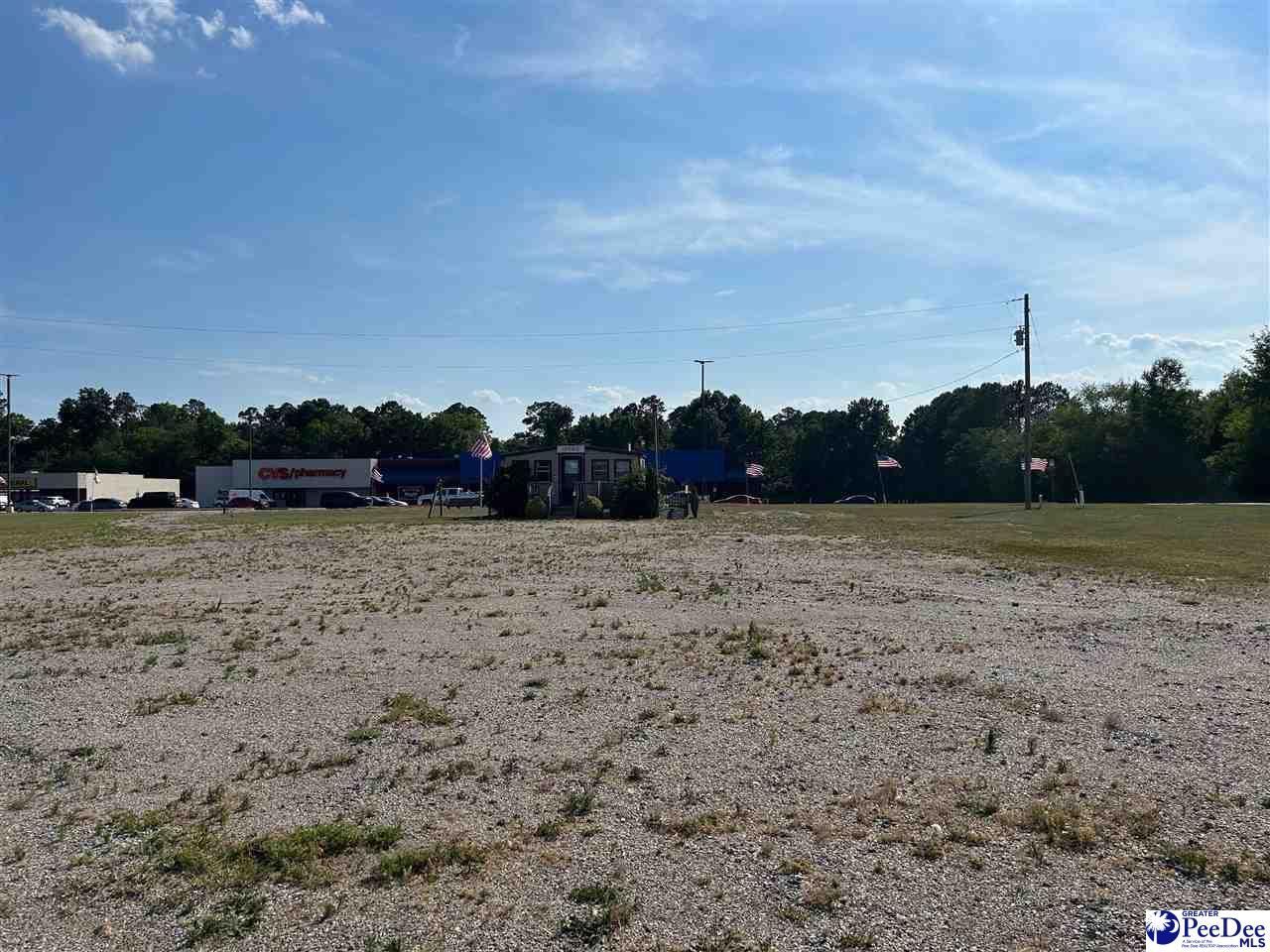 320 Hwy Sc-9 West Photo 15