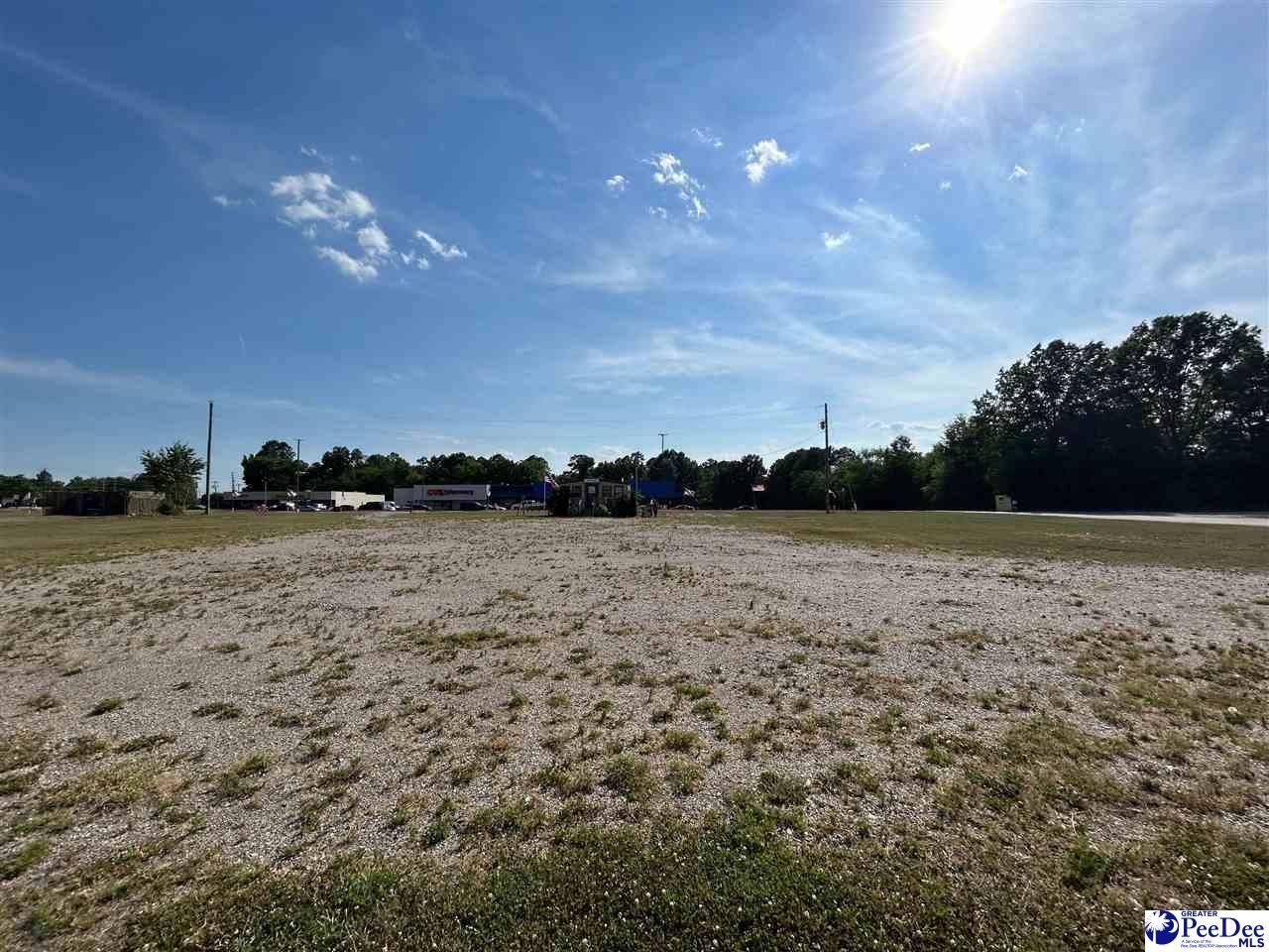 320 Hwy Sc-9 West Photo 16