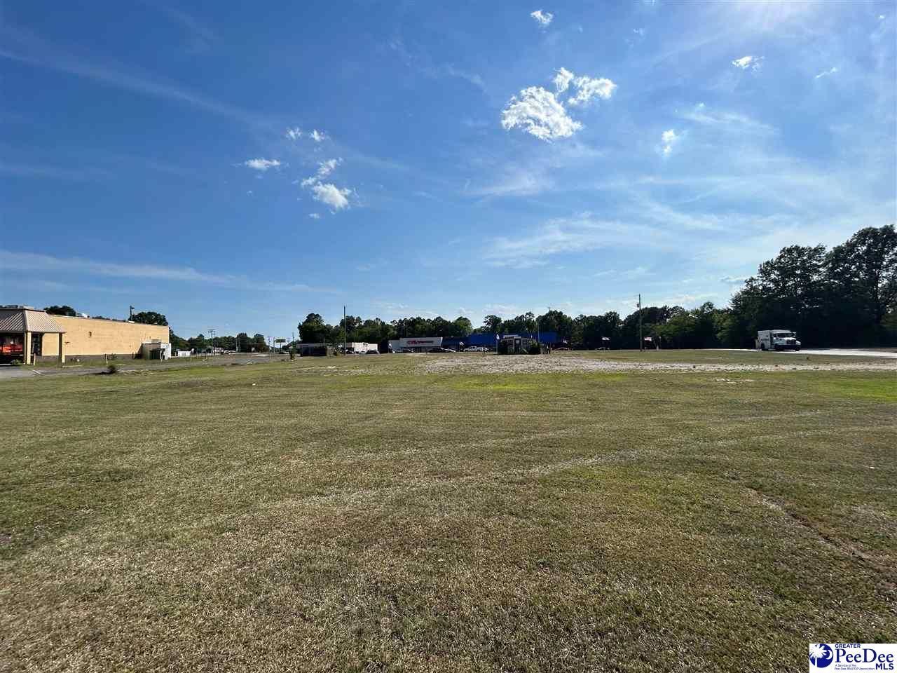 320 Hwy Sc-9 West Photo 21